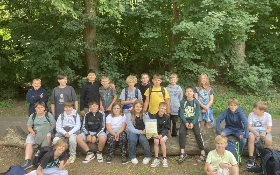 Urkunde für die Teilnahme am Walddetektive-Wettbewerb