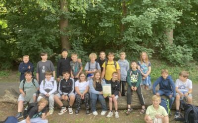 Urkunde für die Teilnahme am Walddetektive-Wettbewerb