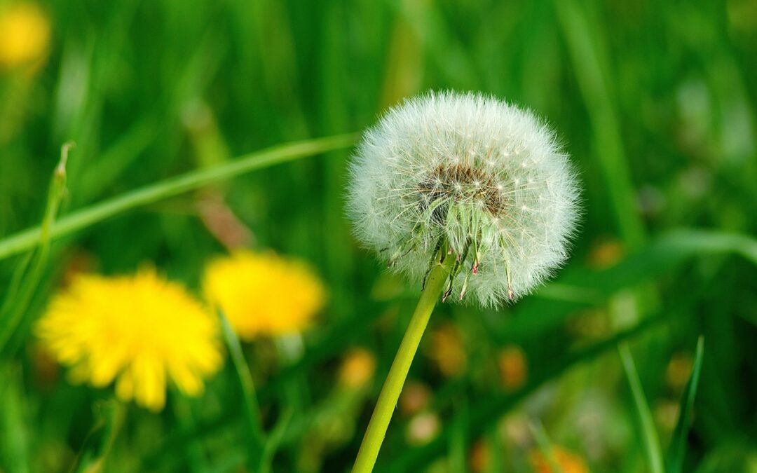 Leos Schnuppertag am 11.12.2025