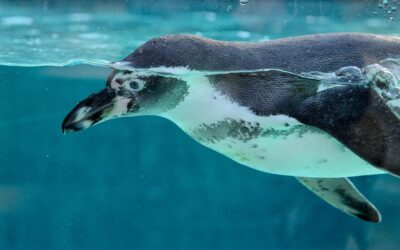 MINT-Ausflug zum Zoo Krefeld!
