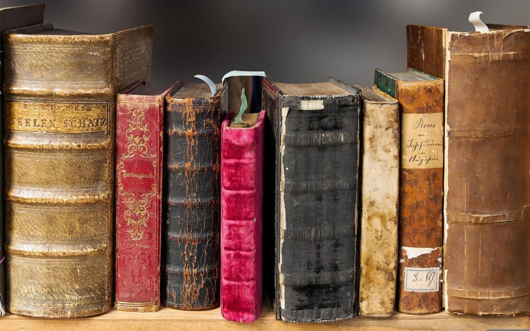 Unser überregionaler  Lesewettbewerb in Jahrgang 6: Gratulation!